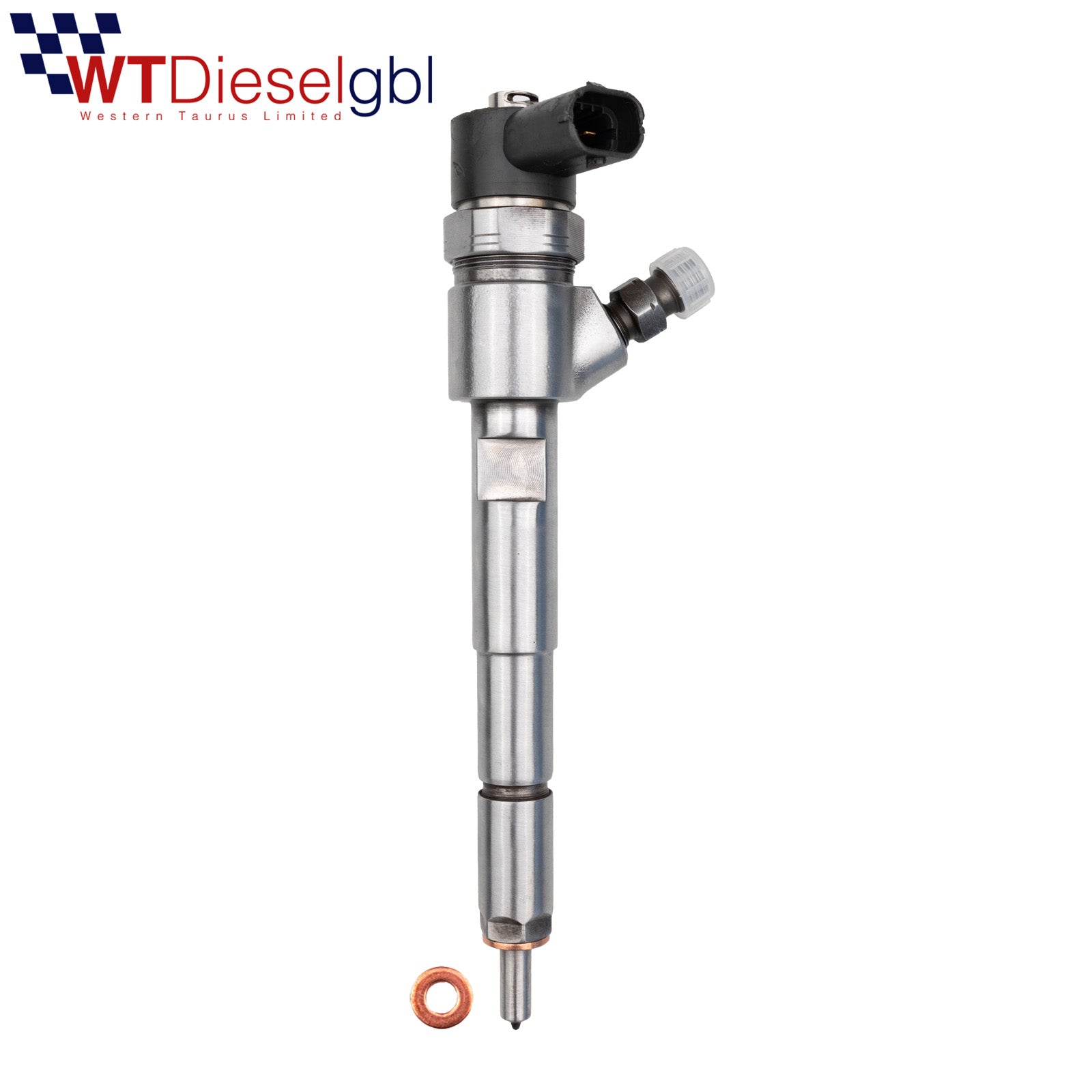 Bosch 0445110287 15062053F | LDV Maxus LTI Injector