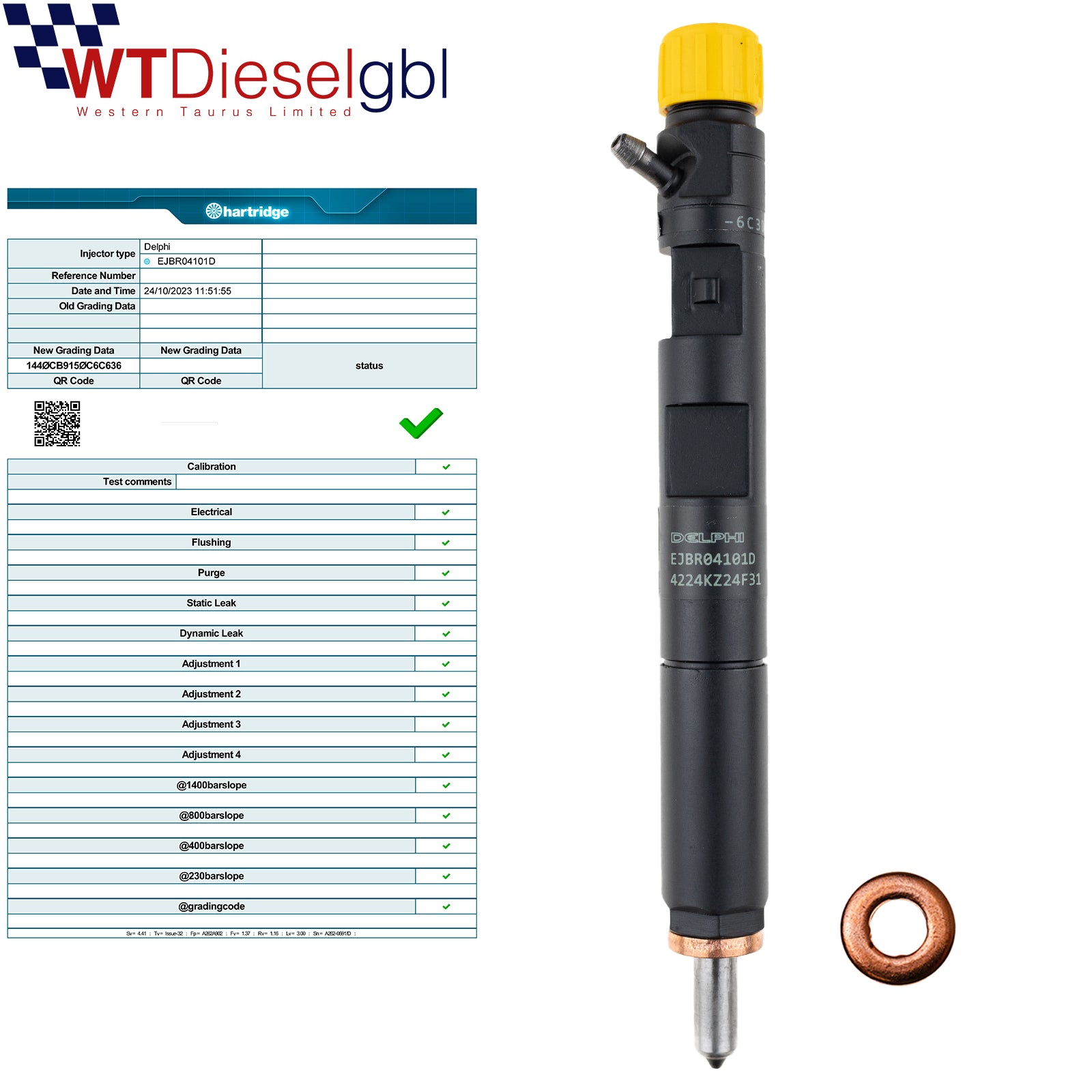Delphi EJBR04101D |1.5dCi| Renault Clio Megane Scenic Kangoo Injector
