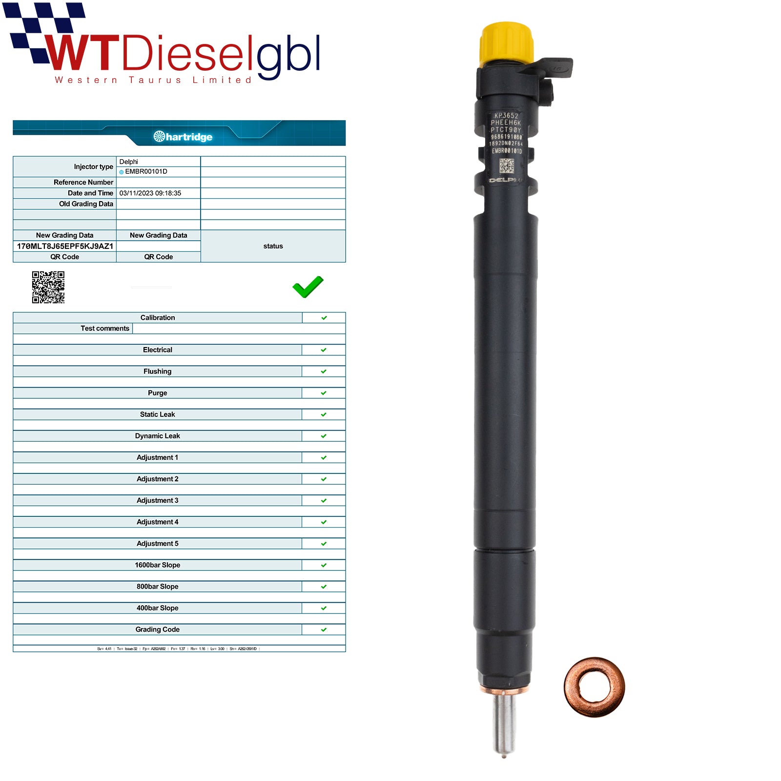 Delphi 9686191080 EMBR00101D |2.0 HDi| Citroen Jumpy C4 C5 Injector