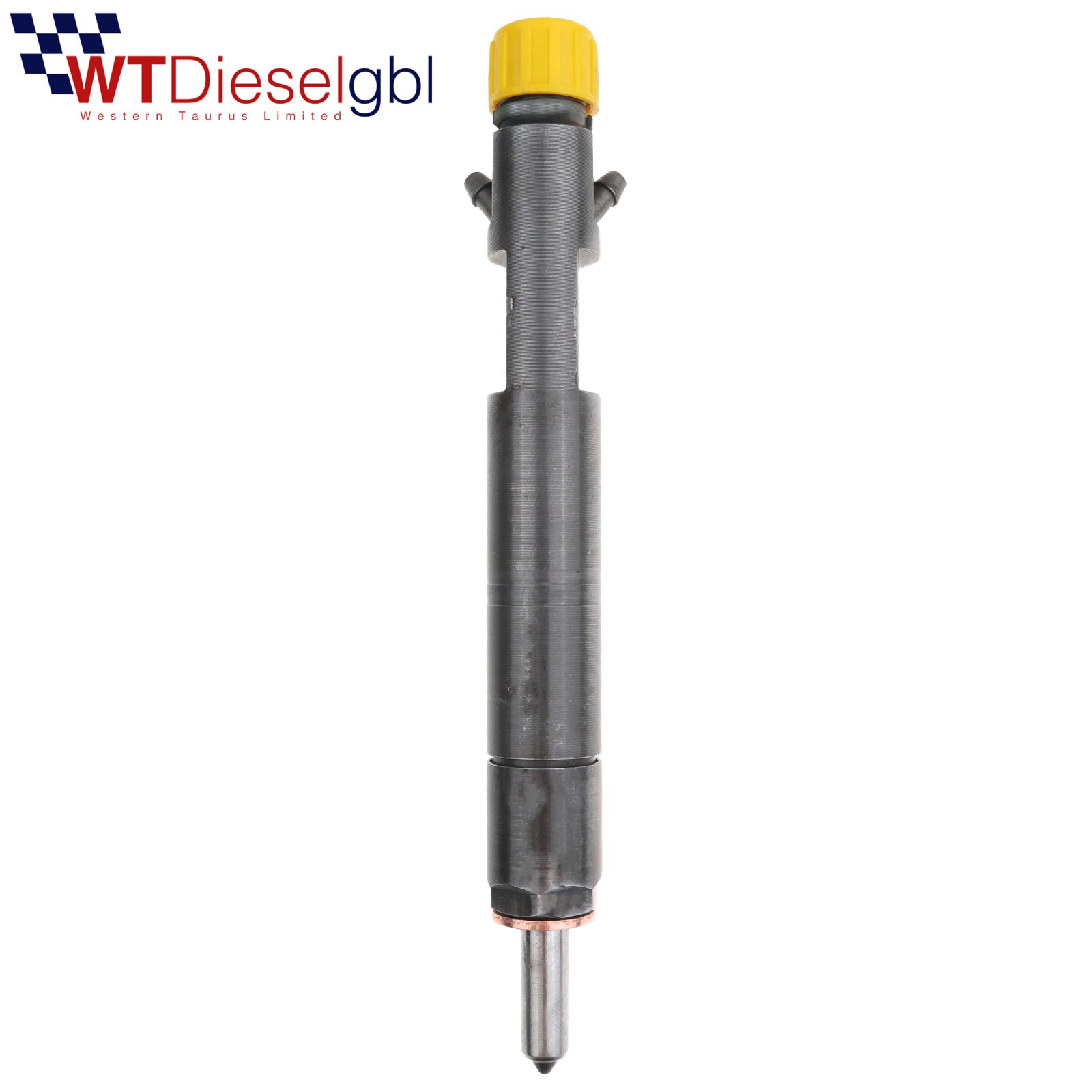 Delphi TJBB01702D | 1,8 TDCi | Ford-Dieseleinspritzer