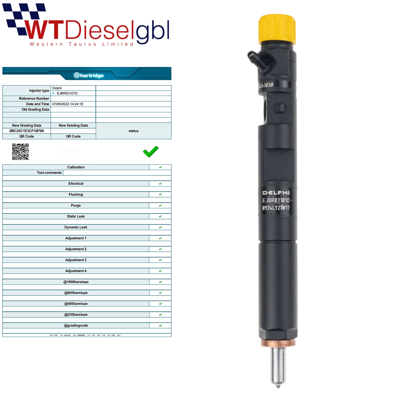Delphi EJBR03101D | 1.5 dCi | Nissan Dacia Renault Mercedes Fuel Injector