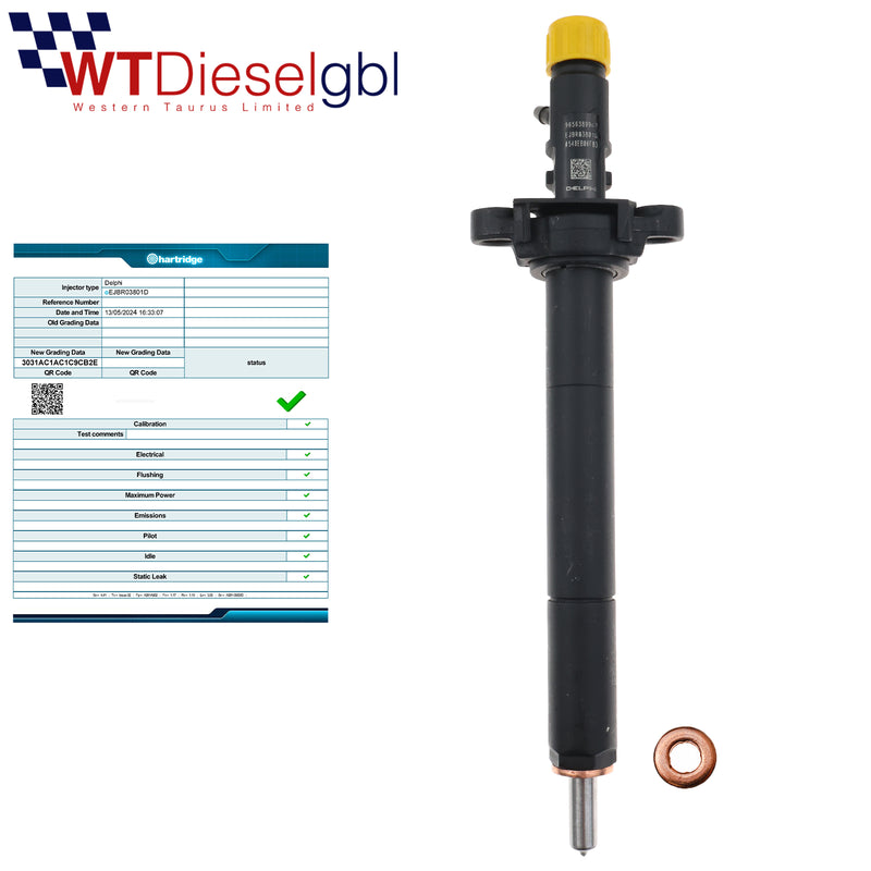 Delphi EJBR03801D 9656389980 | 2.0 HDi | Citroen Peugeot Fuel Injector