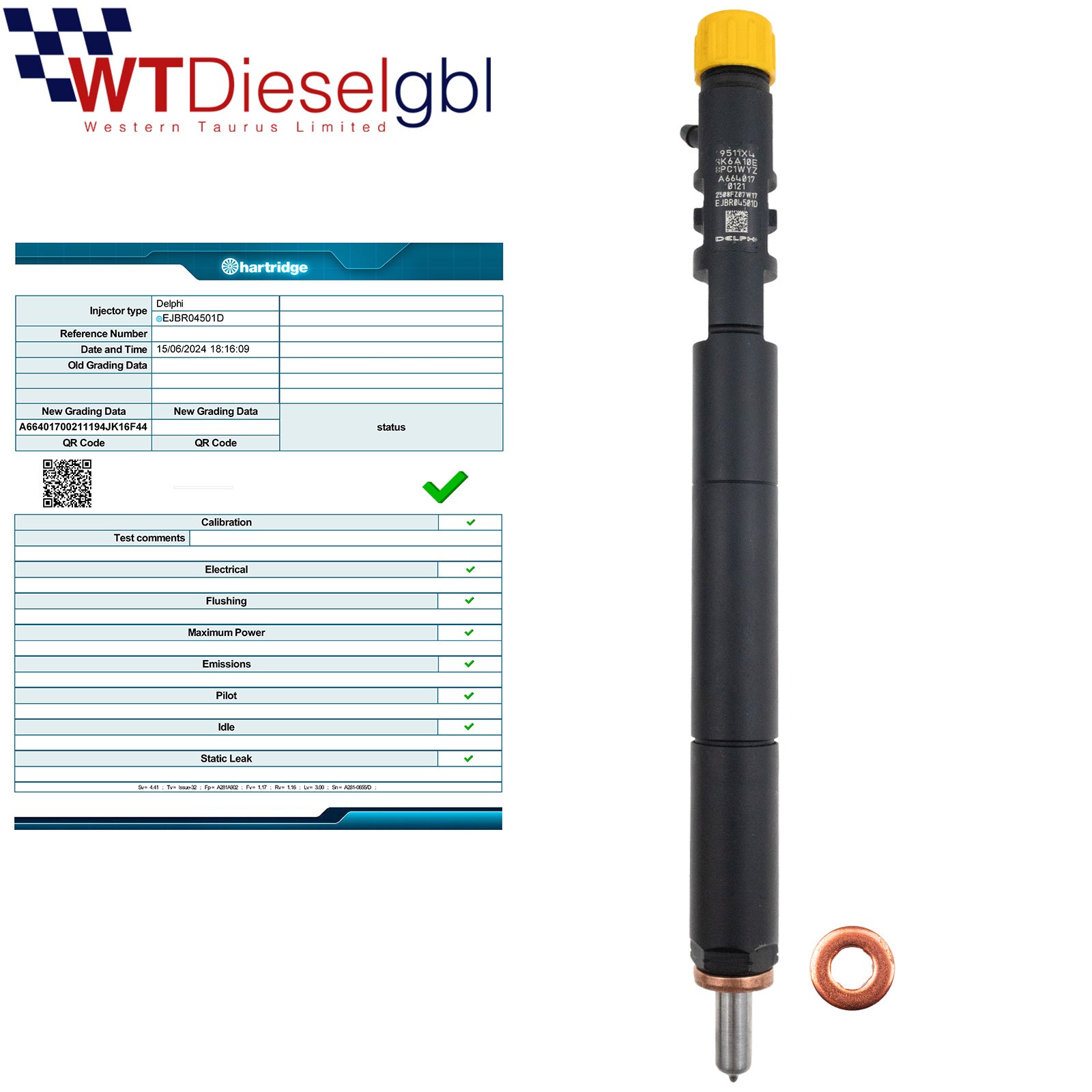 Delphi EJBR04501D A6640170121 | 2.0 Xdi | SsangYong Diesel Injector