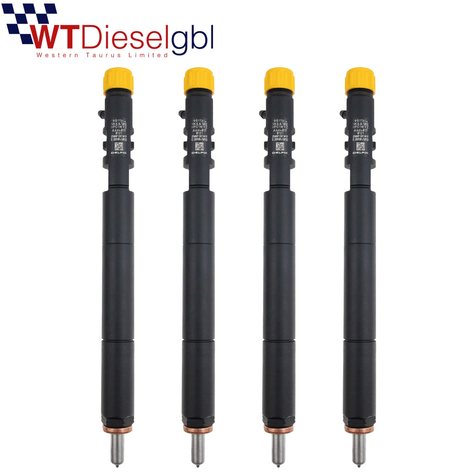 X4 Delphi EJBR04501D A6640170121 | 2.0 Xdi | SsangYong Diesel Injector