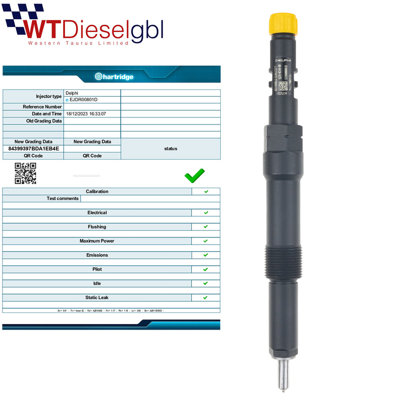 Delphi EJDR00801D 6S7Q9K546BA |2.0 TDDi| Ford Mondeo Injector