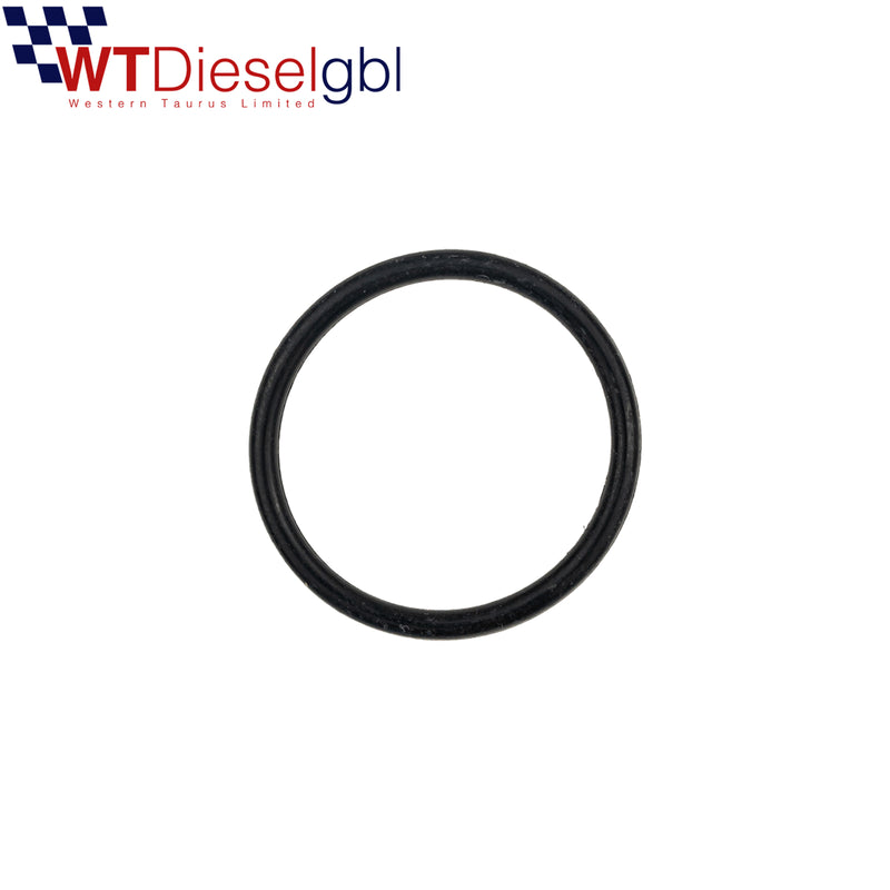 X4 BOSCH COMMON-RAIL-MAGNET-O-RING F00VC38002