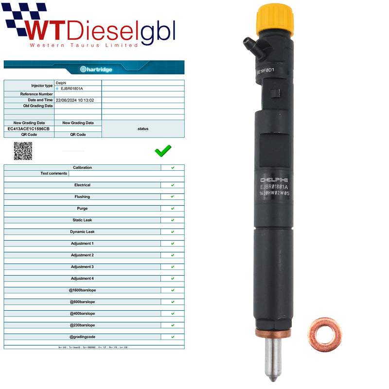 Delphi EJBR01801A 166009384R | Renault Clio Scenic Micra Injector