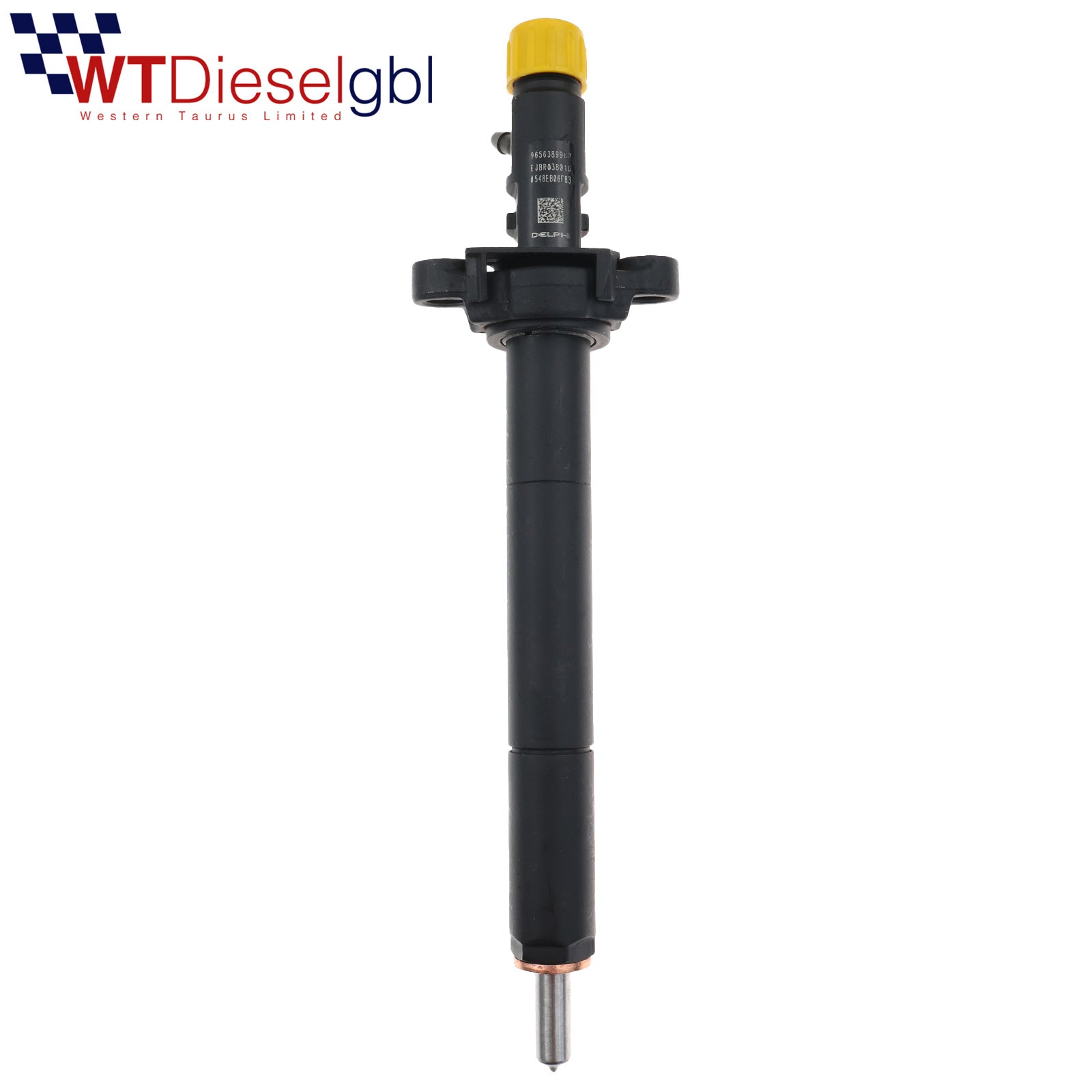 Delphi EJBR03801D 9656389980 | 2.0 HDi | Citroen Peugeot Fuel Injector
