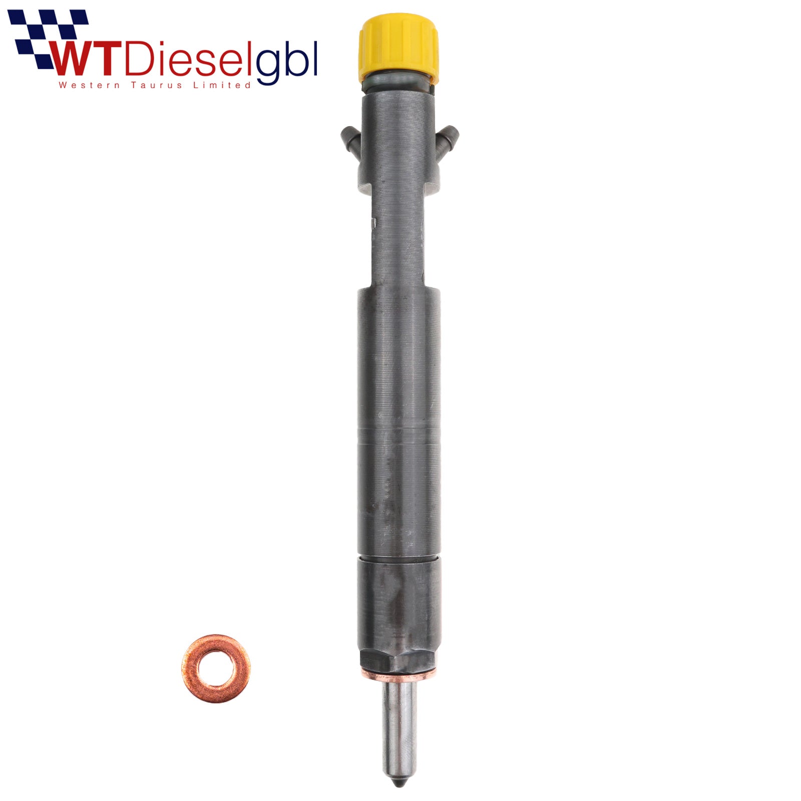 Delphi TJBB01702D | 1.8 TDCi | Ford Diesel Injector