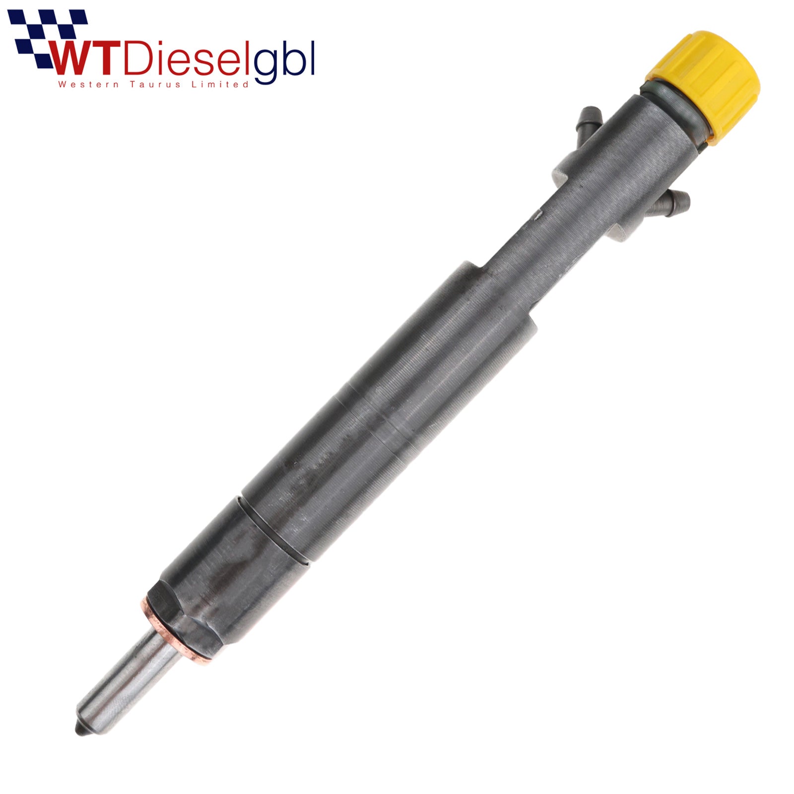 Delphi TJBB01702D | 1.8 TDCi | Ford Diesel Injector